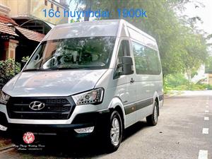Xe 16C - Ford Transit Mới 2025