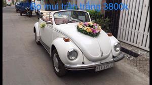 Xe Hoa - Volkswagen Mui Trần